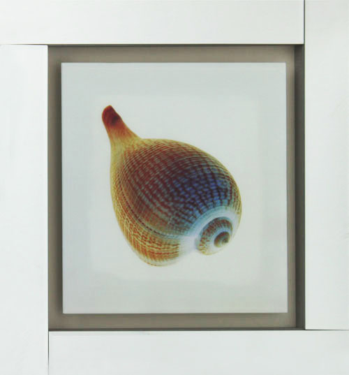 kxjzk-08 59.5x59.5 0.038-2pcs (5)